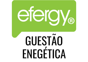                                         EFERGY                                    