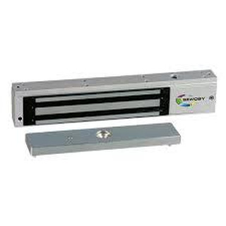 Electroiman até 300Kg com Led 12/ 24Vdc IP42 EF300CTC