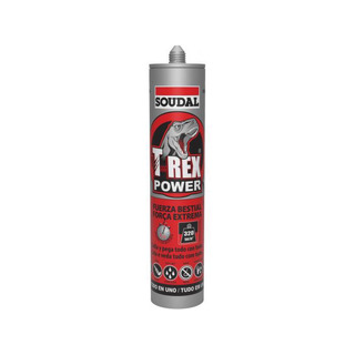 T-Rex Power Cinzento 290ml