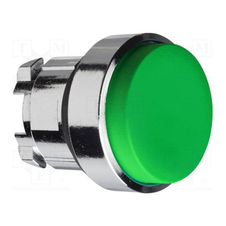 Cabeça de Botão Metal Ø22 Luminoso Verde ZB2BH3