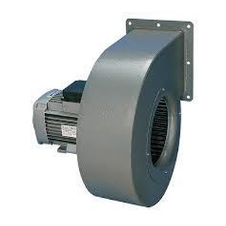 Ventilador Centrifugo Vorticent C25-2M 230V