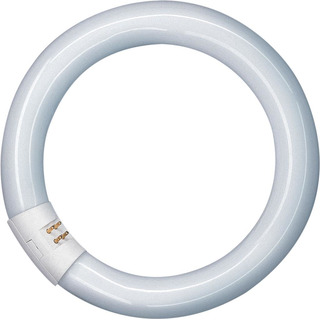 Lampada de Led Circular T8 20W G10q 2080Lm Ø300mm 6500K 200800003