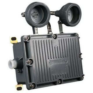 Projetor de Emergência Leds Beam Não Mantida 1h30m IP65 1000Lm P12112 #