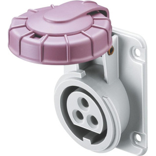 Tomada Encastrar 2P 24V 16A IP67 62365