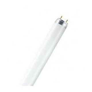 TLD 18/ 83 LAMPADAS FLUO
