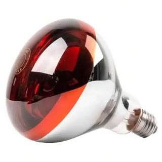 Lâmpada Incandescente TheraTherm Vermelha  250W 230V E27