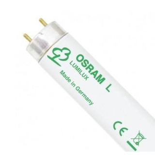 Lâmpada Fluorescente 16W/ 640 G13