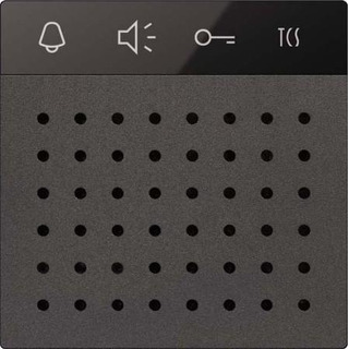 Módulo de voz TCCS Bus Sw AMI11110-0057