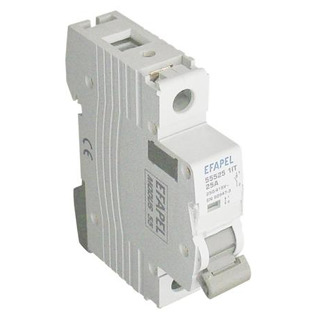Interruptor 1P 25A
