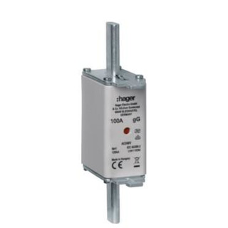 Fusivel NH1 gG 100Ah 500V