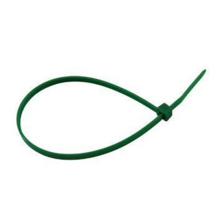 Abraçadeira de Fivela/ Serrilha 100x2,5 Verde 100Un 100-025-VE