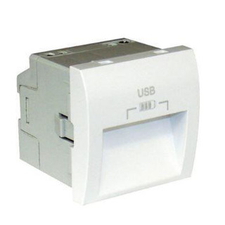 Carregador Duplo USB Saidas 20º Tipo A 2 Módulos Branco 45384SBR #